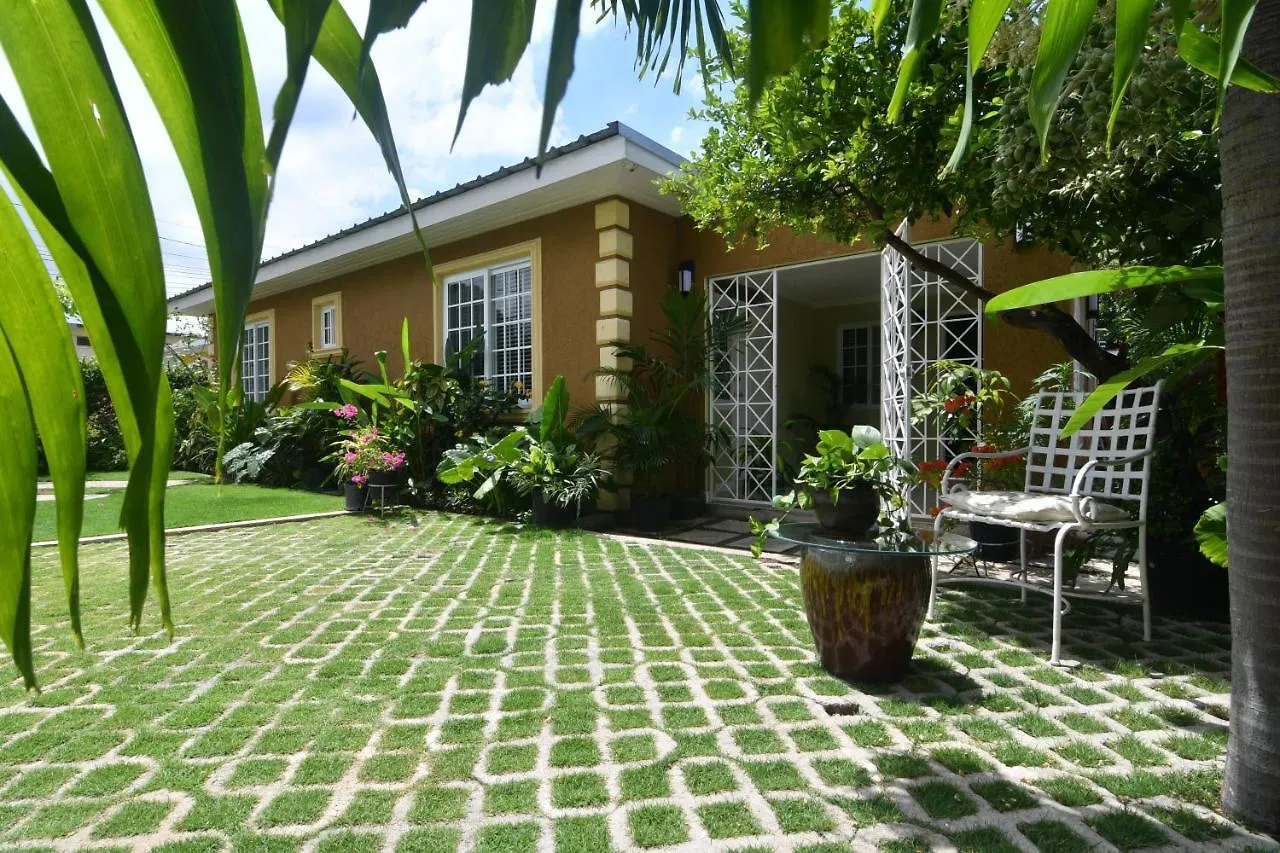 Choose To Be Happy At Gardens Of Blissett Gob#1 & Gob #2 - Two Bedroom Apartments 킹스톤
